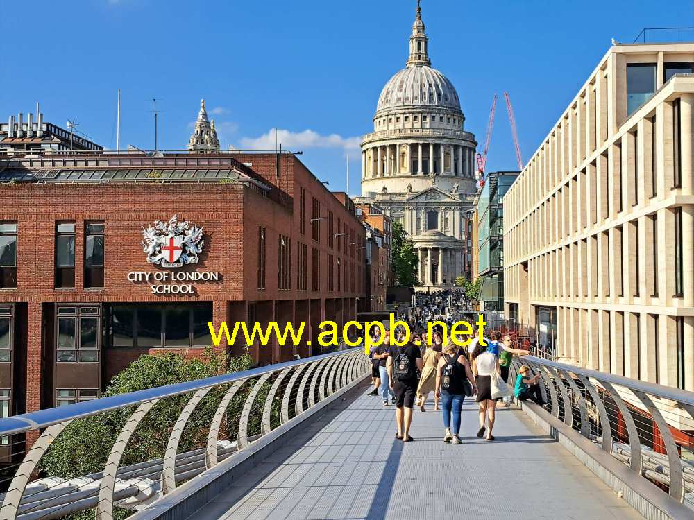 Millenium Bridge