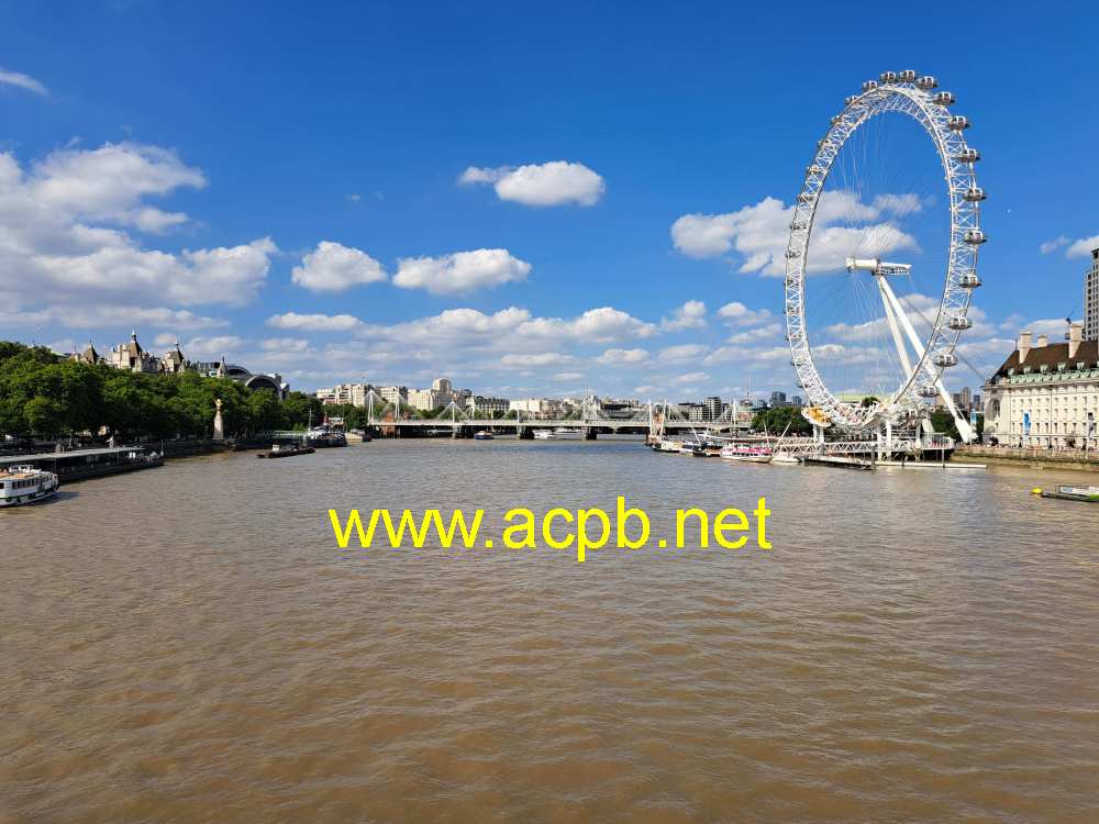 il Tamigi visto da Westminster Bridge