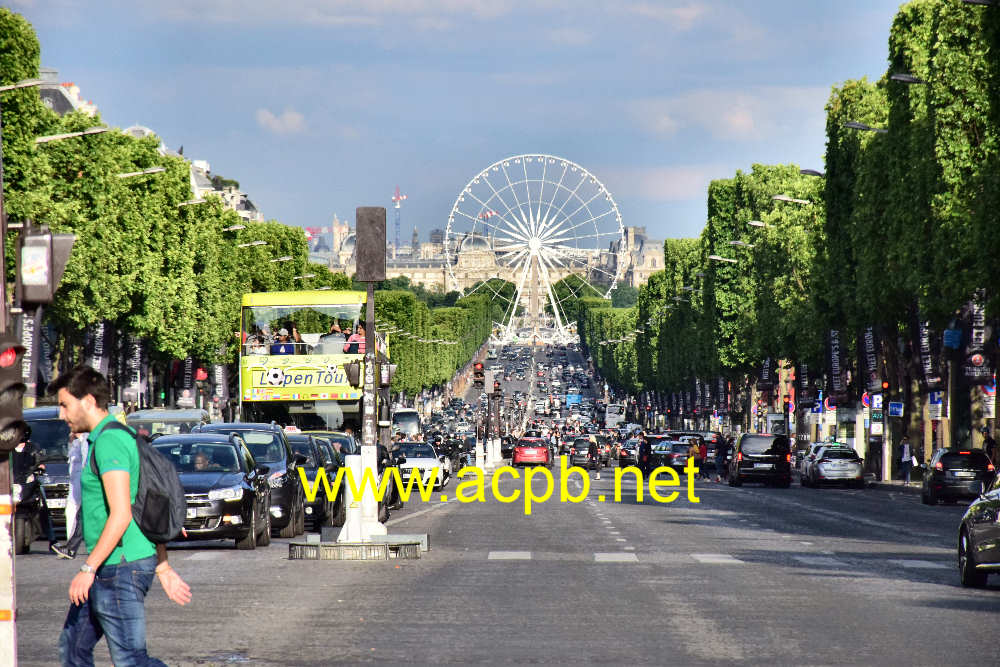 Avenue des Champs-Elysees