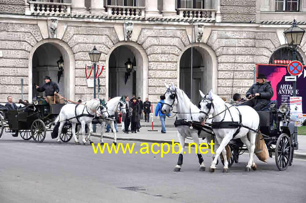 Viaggio in carrozza