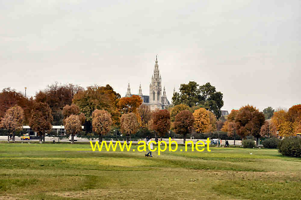 la Rathaus di Vienna